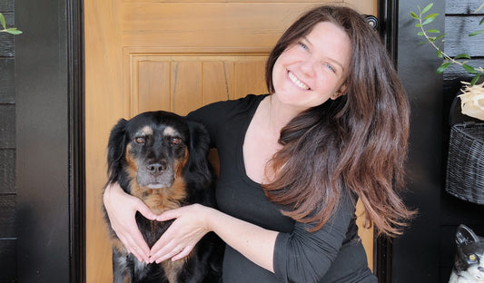 Link Between Grain-Free Dog Food and Heart Disease