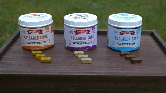 Collagen Care