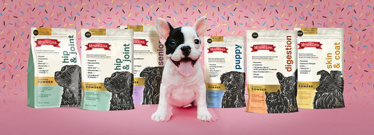 A white and black puppy sitting in the the middle of The Missing Link Supplement bags on a pink background with confetti falling in the background.