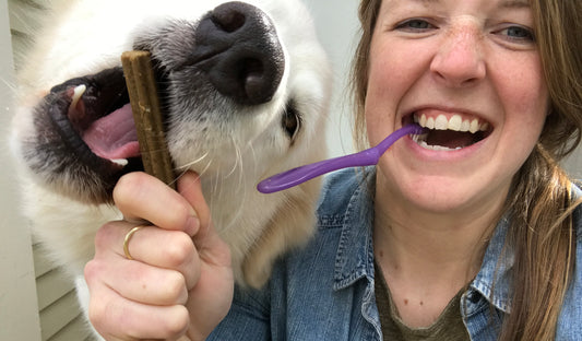 3 Ways To Reduce Your Dog's Stinky Breath