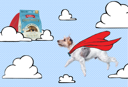 Spotlight On: Smartmouth Dental Chews