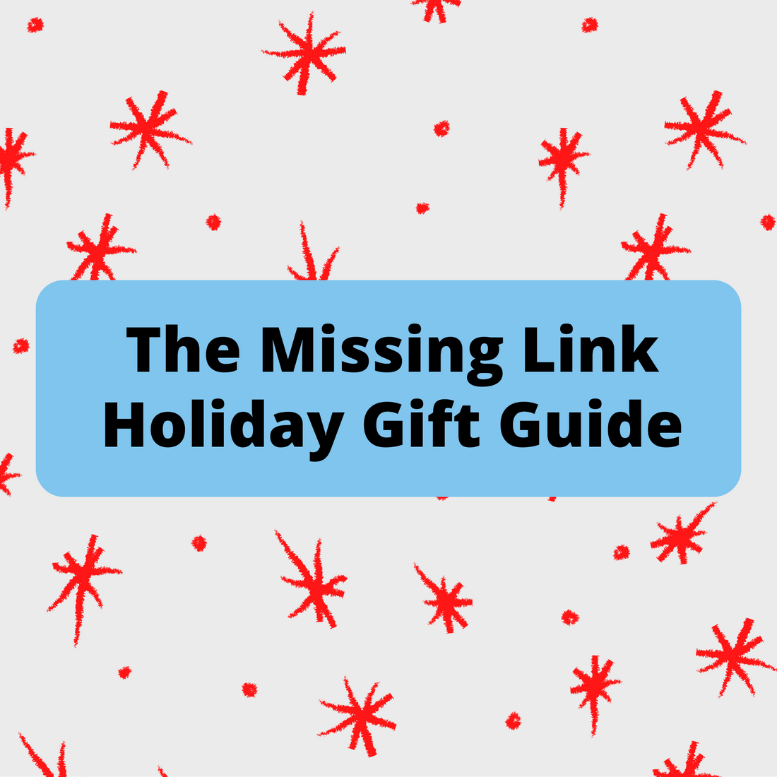 Holiday Gift Guide