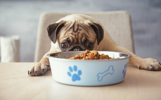 facts-about-pet-food_the-missing-link