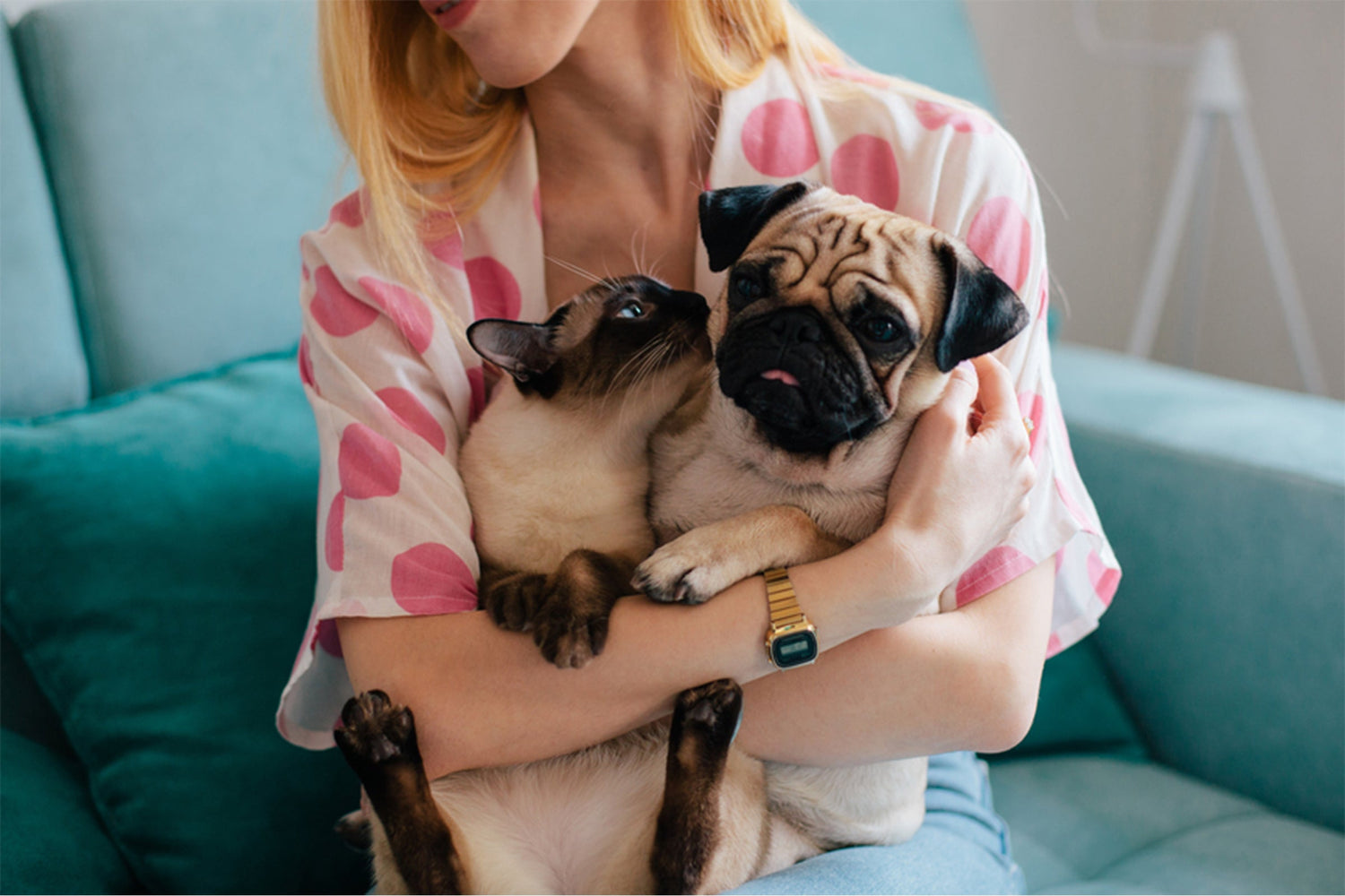 Woman with a pink polka dotted shirt holding a Simese cat in her right arm, trying to kiss a pug dog in her left hand.