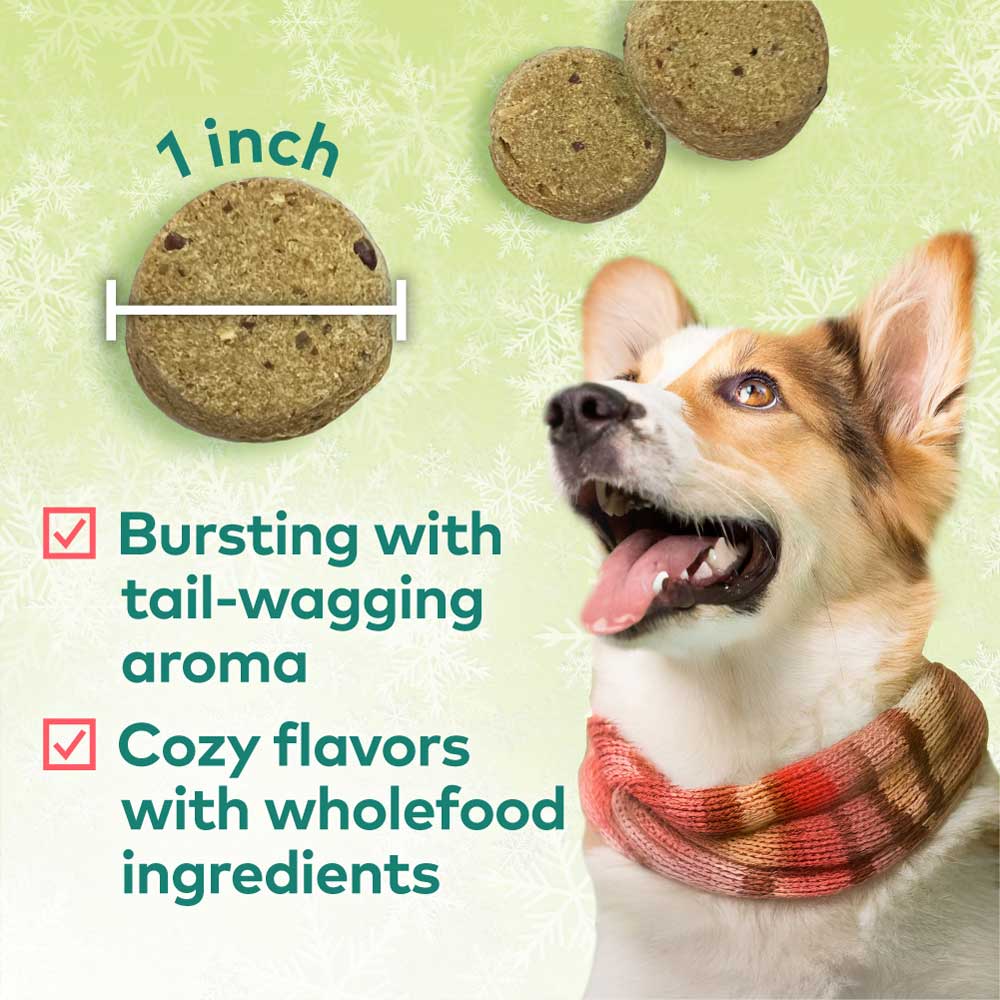 Honest to Goodness® Plant Snacks Howliday Treats Apple Spice Recipe