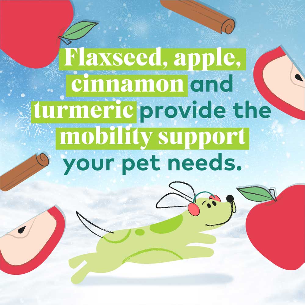 Honest to Goodness® Plant Snacks Howliday Treats Apple Spice Recipe
