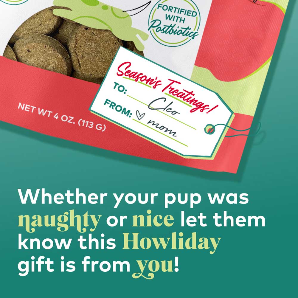 Honest to Goodness® Plant Snacks Howliday Treats Apple Spice Recipe