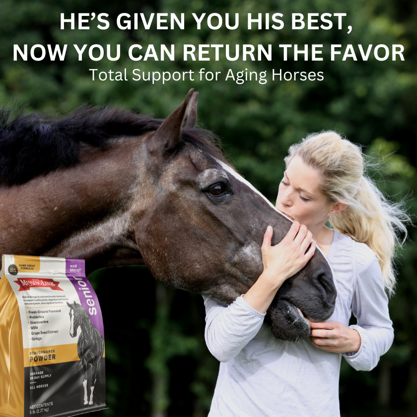 Blond woman in a long sleeved white shirt kissing the nose of a senior horse. The Missing Link Senior Performance Powder, new look, same great formula.