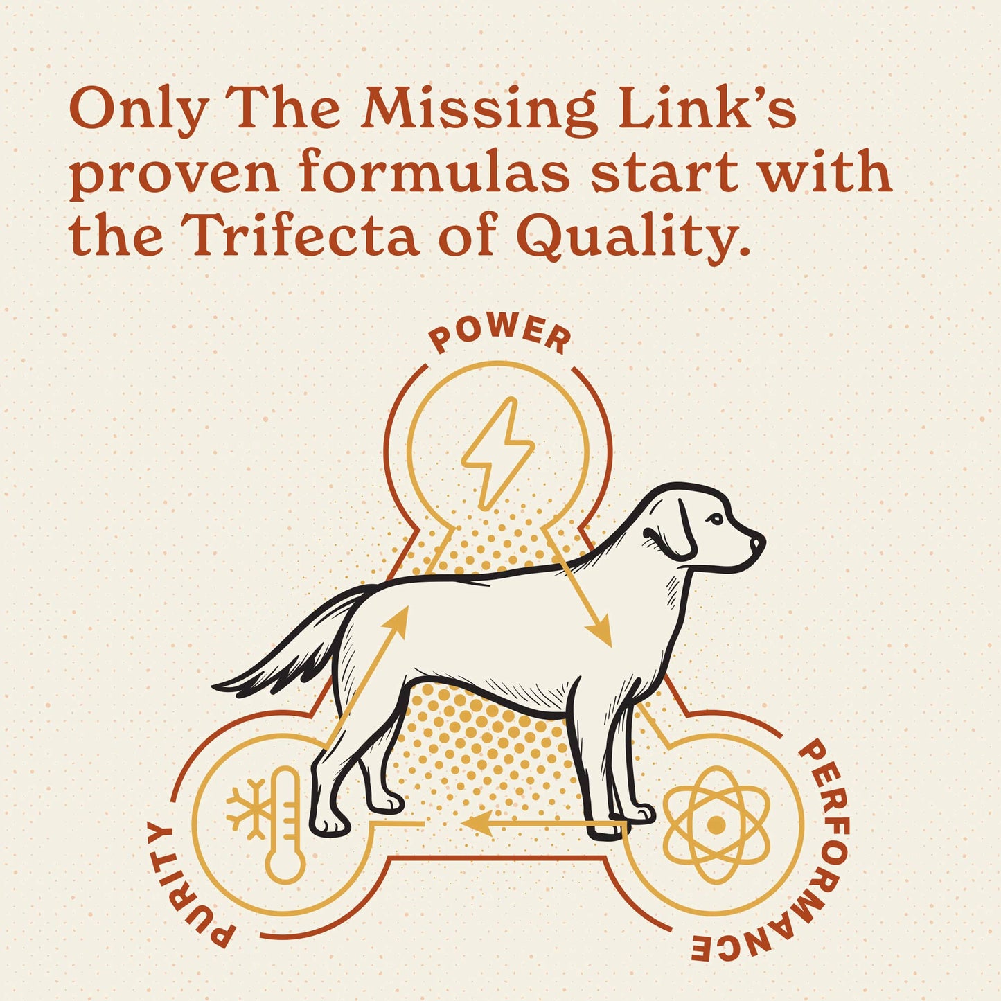 Only the Missing Link's proven formulas start with the trifecta of quality. Powrer, purity and performance in a powerful supplement powder.