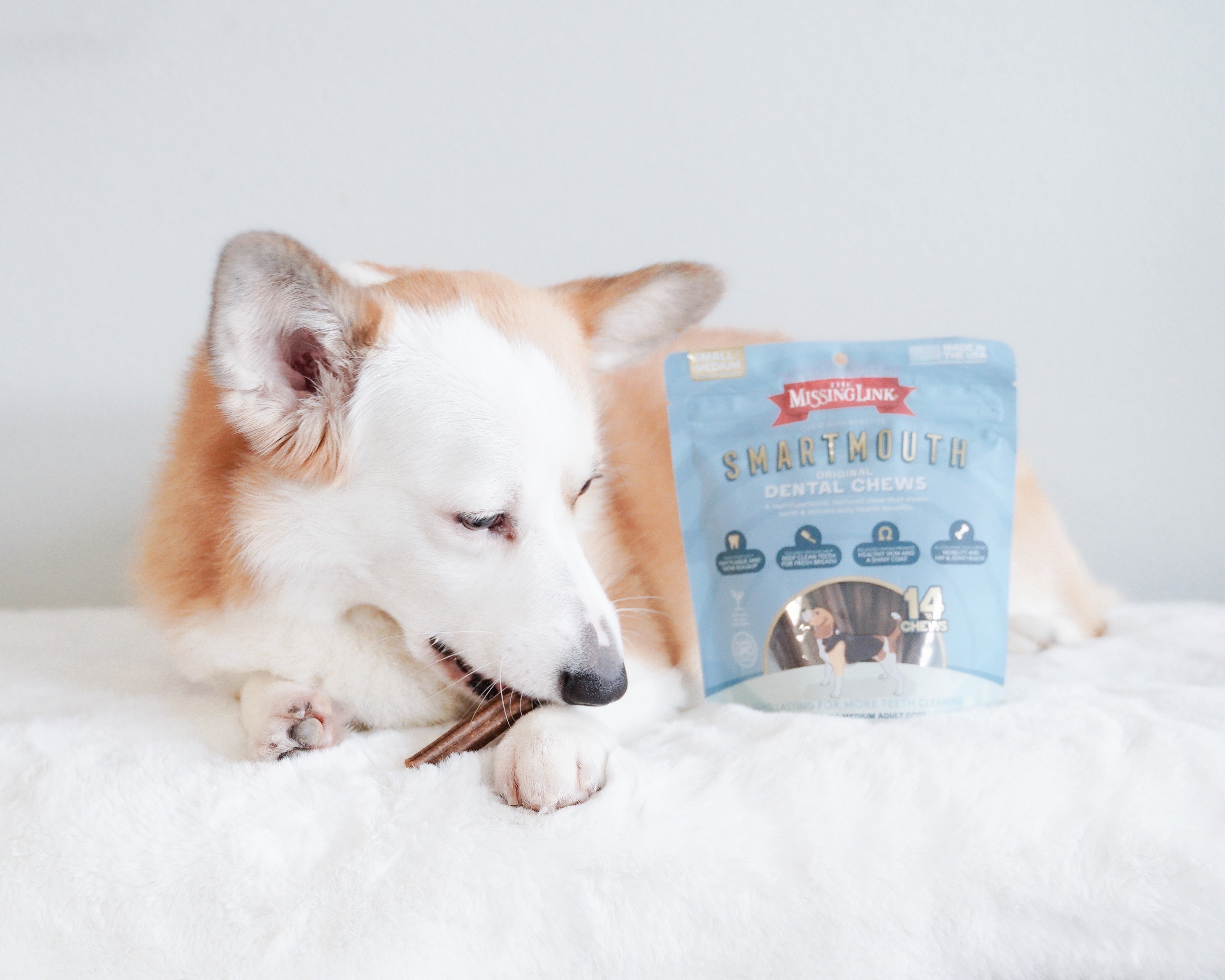 7 Reasons to Choose Smartmouth Dental Chews – Missing Link Products