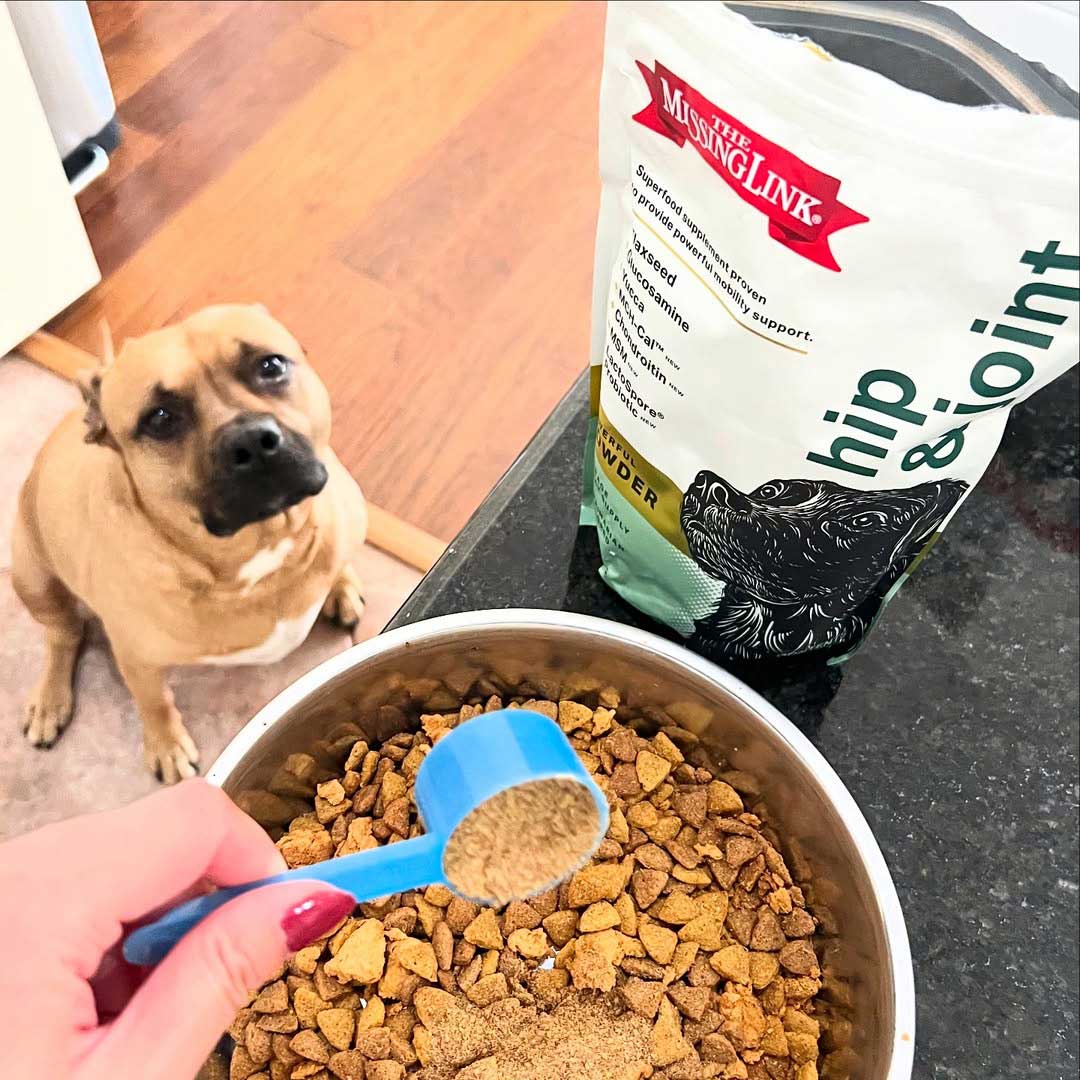 feeding the missing link supplement to a dog