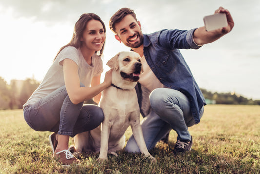 10 Tips for Senior Dogs Aging Healthfully
