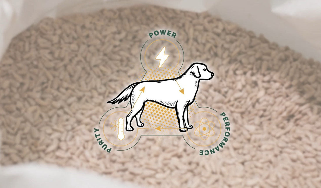 The Missing Link Process