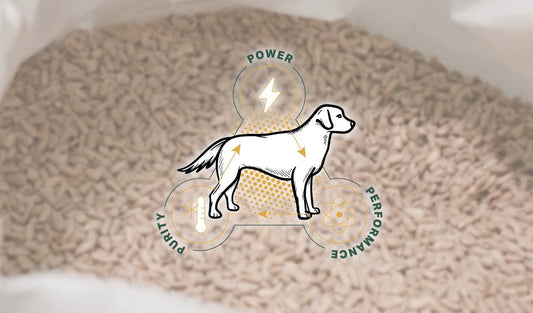 The Missing Link Process