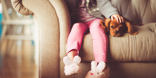 Ear Infections in Dogs