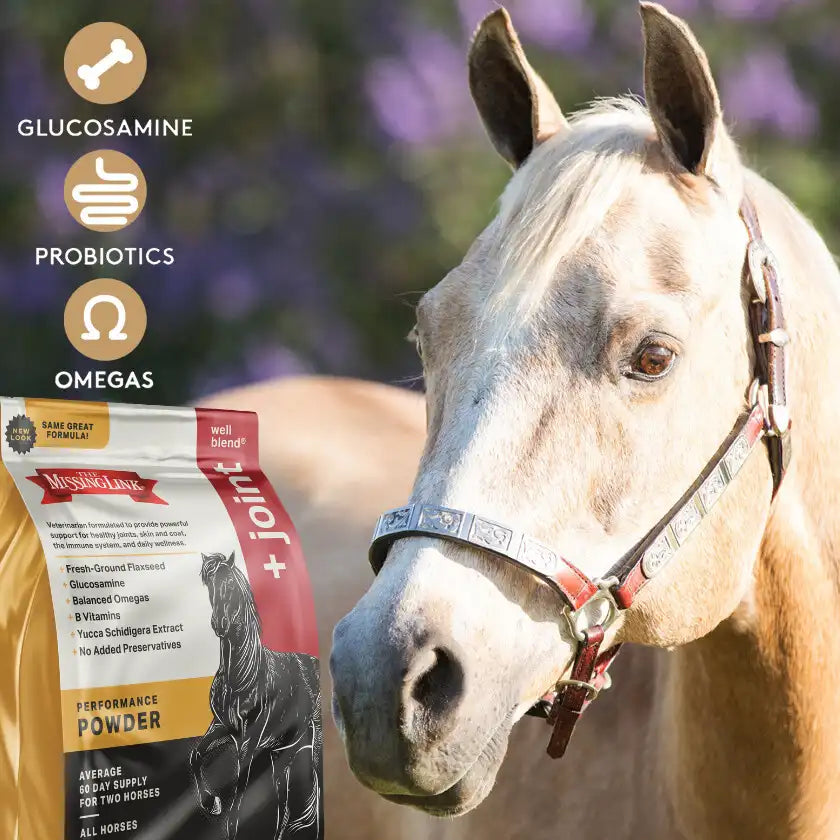 Beautiful blond horse staring at a bag of The Missing Link Well Blend + Joint supplement performance powder. Powder includes glucosamine, probiotics and omegas.