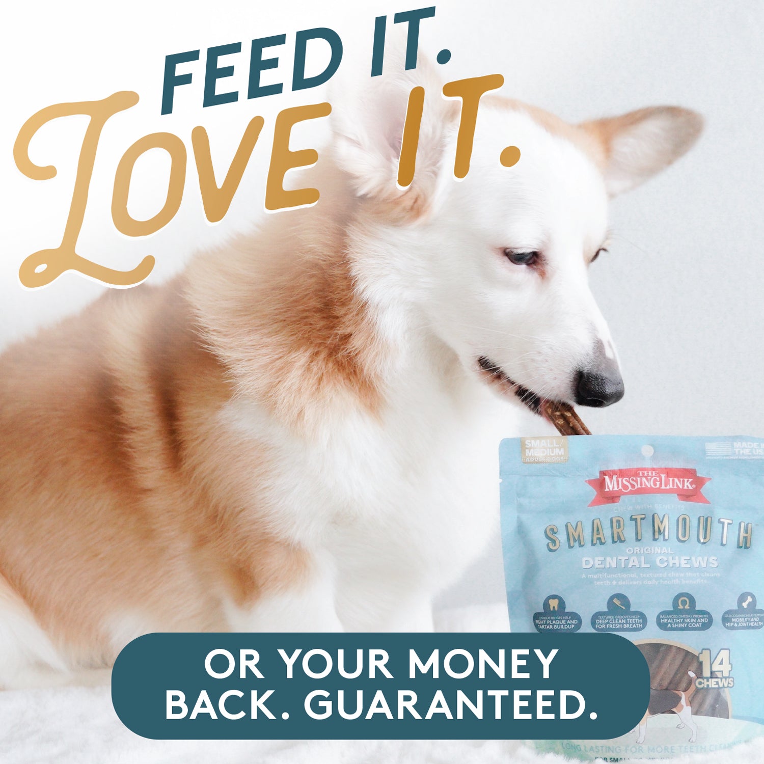   Feed it, Love it or 100% Money back guarantee. Corgi dog sneaking a Smartmouth dental chew out of the top of a Smartmouth bag.