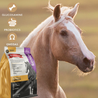 Beautiful light brown horse with a white nose standing near a bag of The Missing Link Senior Performance Powder.