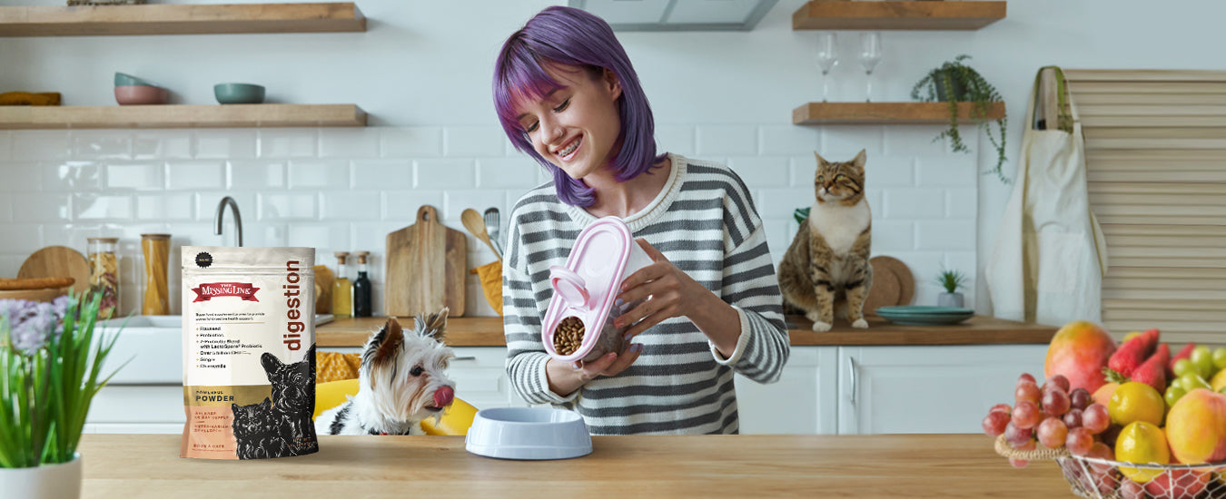 Smiling girl getting ready to feed her dog some food with The Missing Link Digestion.  Dog is licking his lips in anticipation, while cat curiously watches from the back countertop.