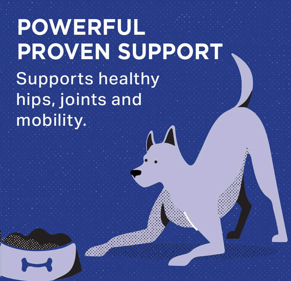 Professional Veterinary Formula Hip, Joint & Coat