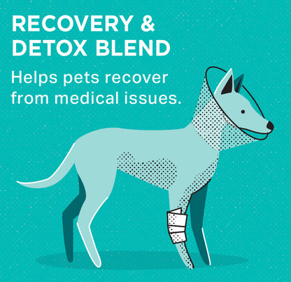 Professional Veterinary Formula Canine/Feline Recovery & Detox