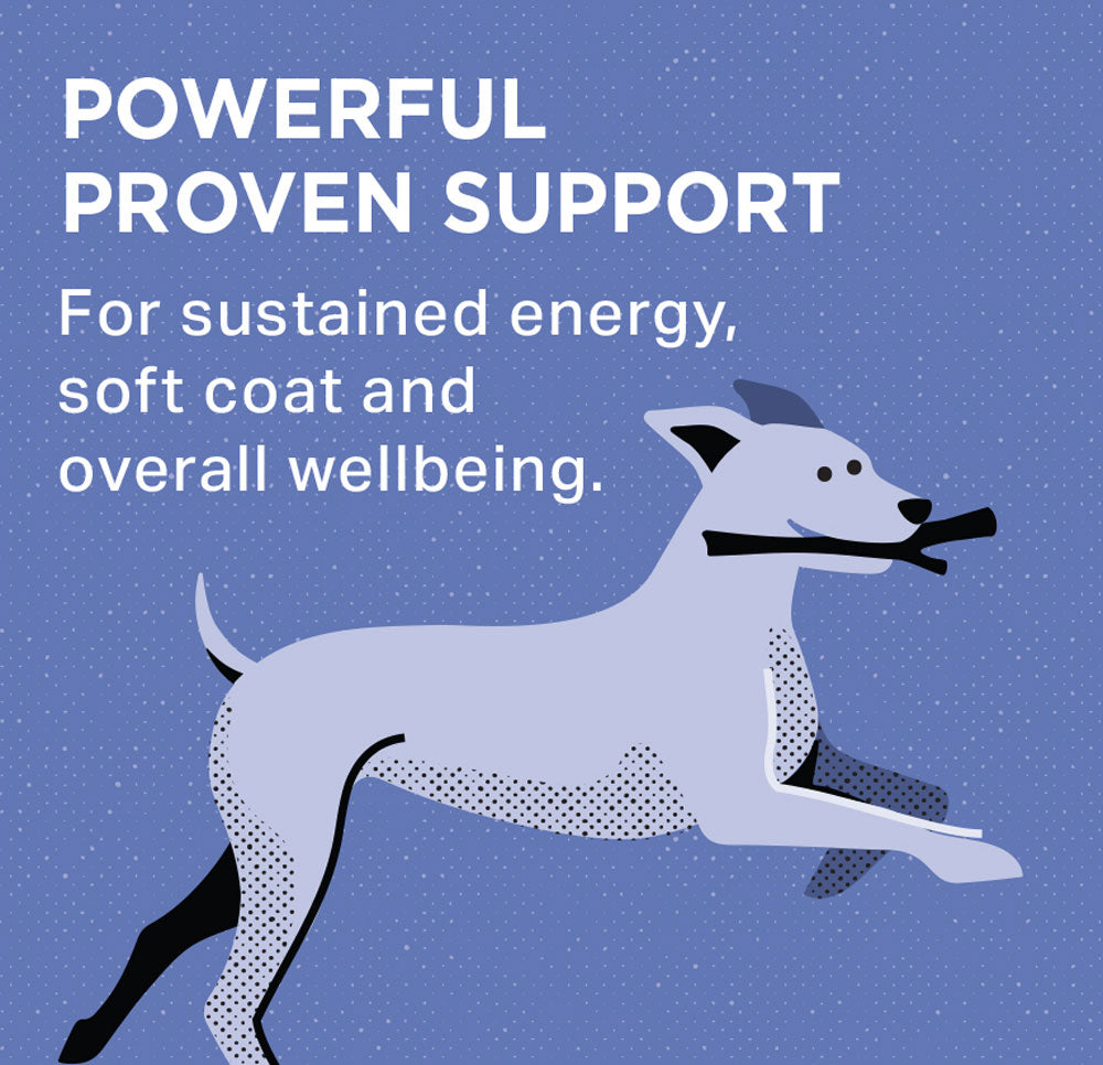 Professional Veterinary Formula Canine