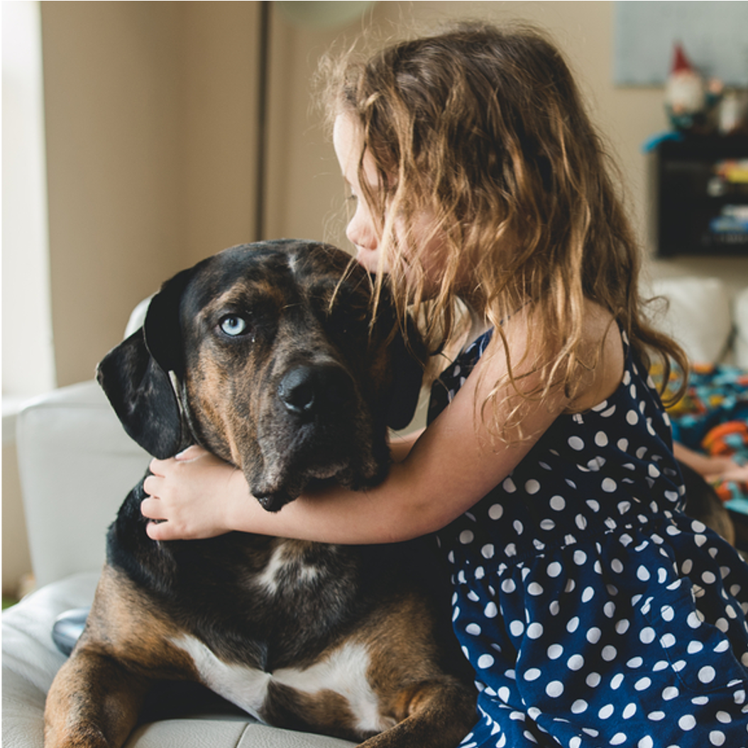 Little girl hugging a big dog on the couch.