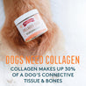 Collagen Care fur paw, holding a canister of Collagen Care soft chews.  Dogs need collagen, collagen makes up 30% of a dog's connective tissue & bones.