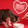 Heart healthy ingredients, man sprinkling on the missing link powder onto his cat's food as the cat watches.
