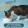 Cat eating out of a bowl, feed it, love it or your money back guaranteed.