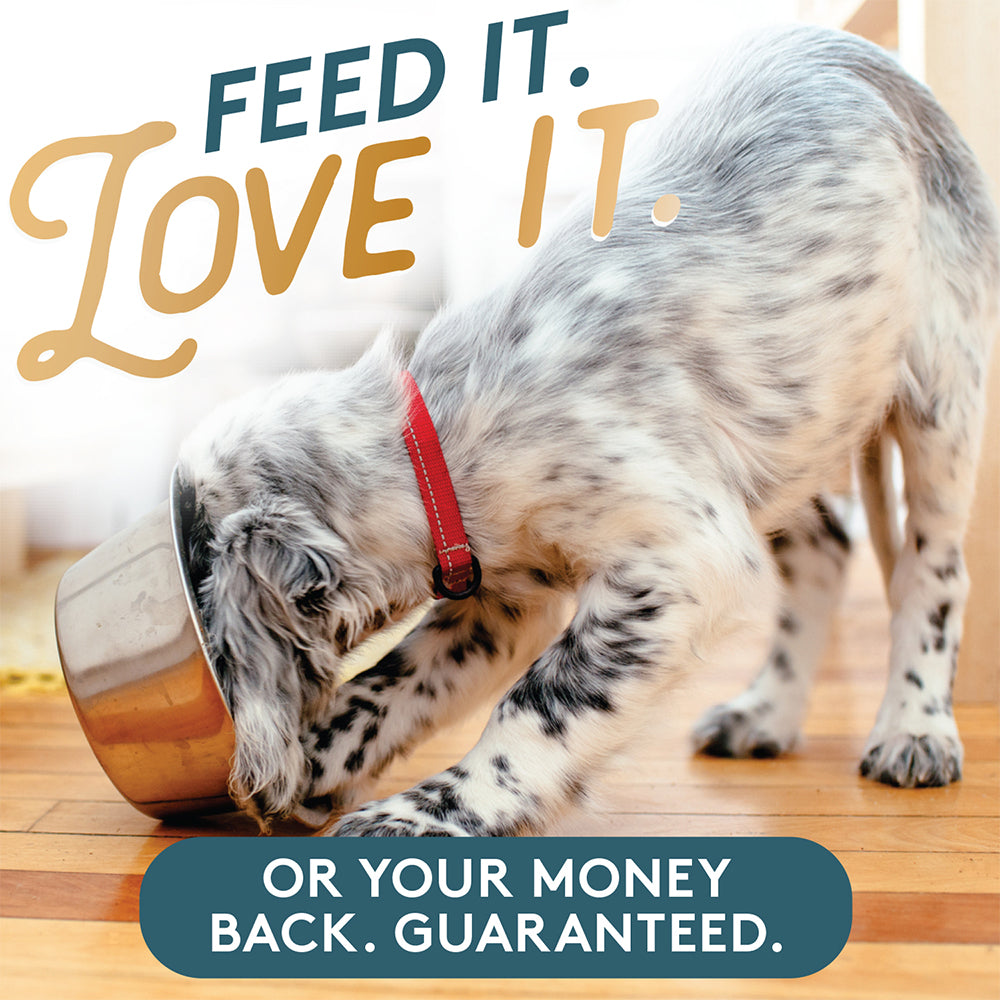 Feed it, love it or your money back. Guaranteed.  Furry white puppy with black spots burying his head into a stainless steel dog dish.