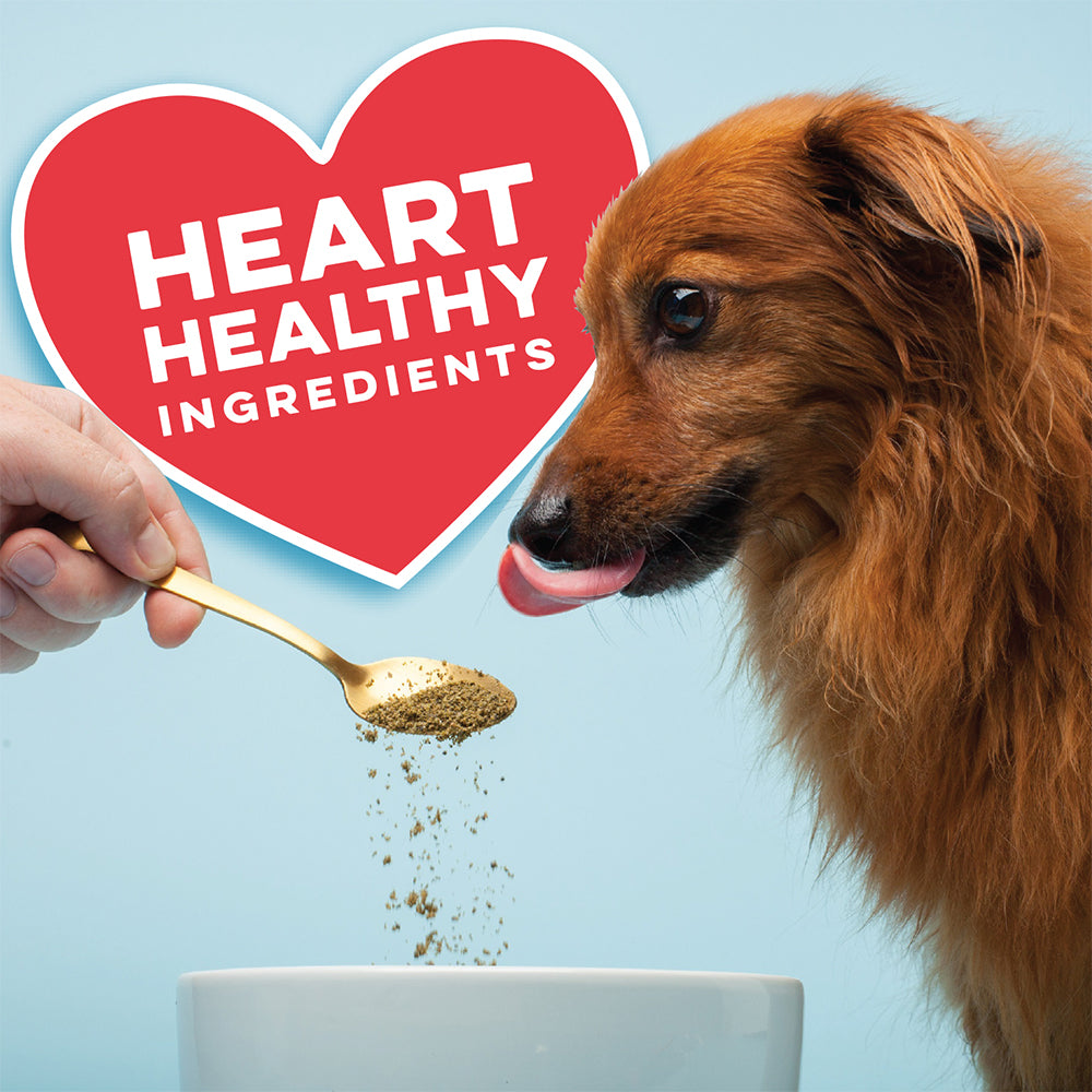 Heart healthy ingredients.  Man sprinkling on missing link powerful powder supplement on his dogs food, as his dog is licking his lips in anticipation.