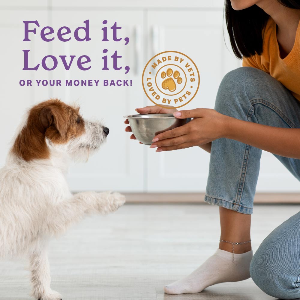Feed it, love it, or your money back.  Made by vets, loved by pets.  Girl holding a dog dish in front of her Jack Russel terrier who if putting one paw up in anticipation of a meal.