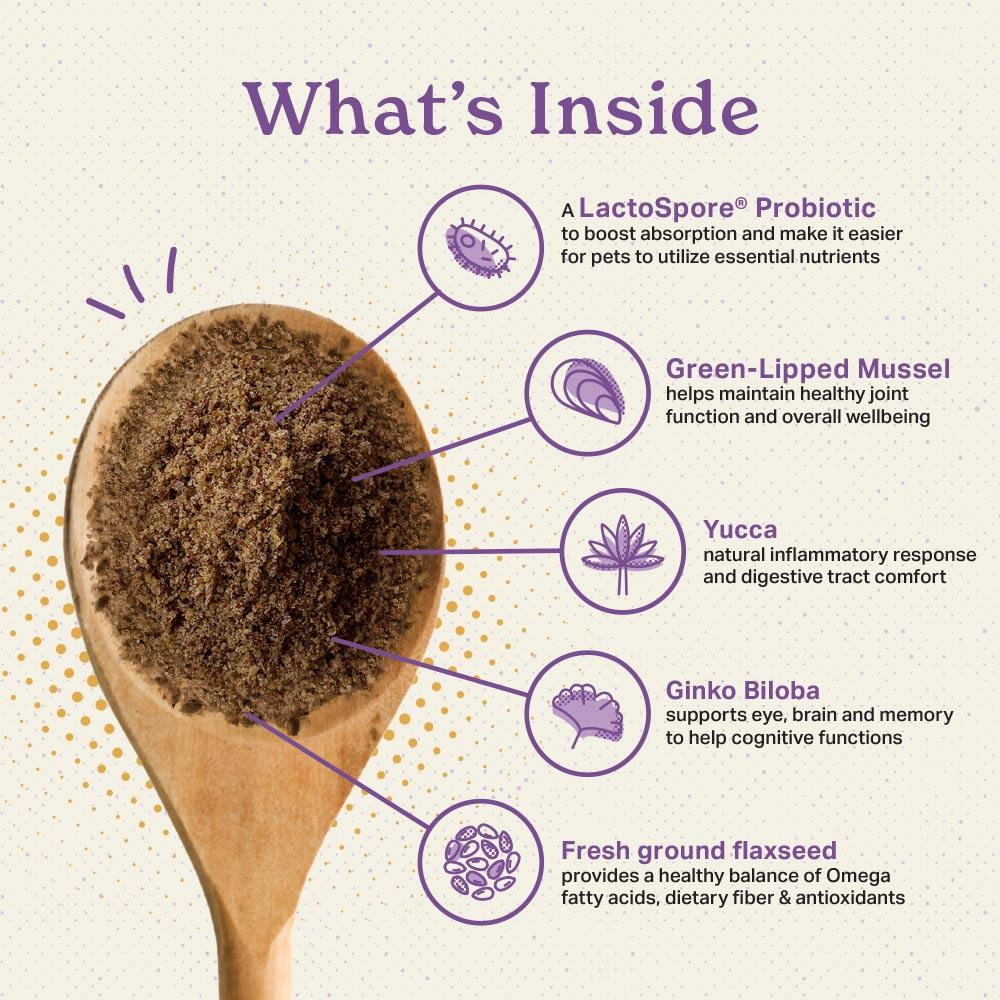 What's inside Missing Link Supplement power? LactoSport Probiotic, Green Lipped Mussel, Yucca, Ginko Biloba and Fresh Ground Flax Seed.