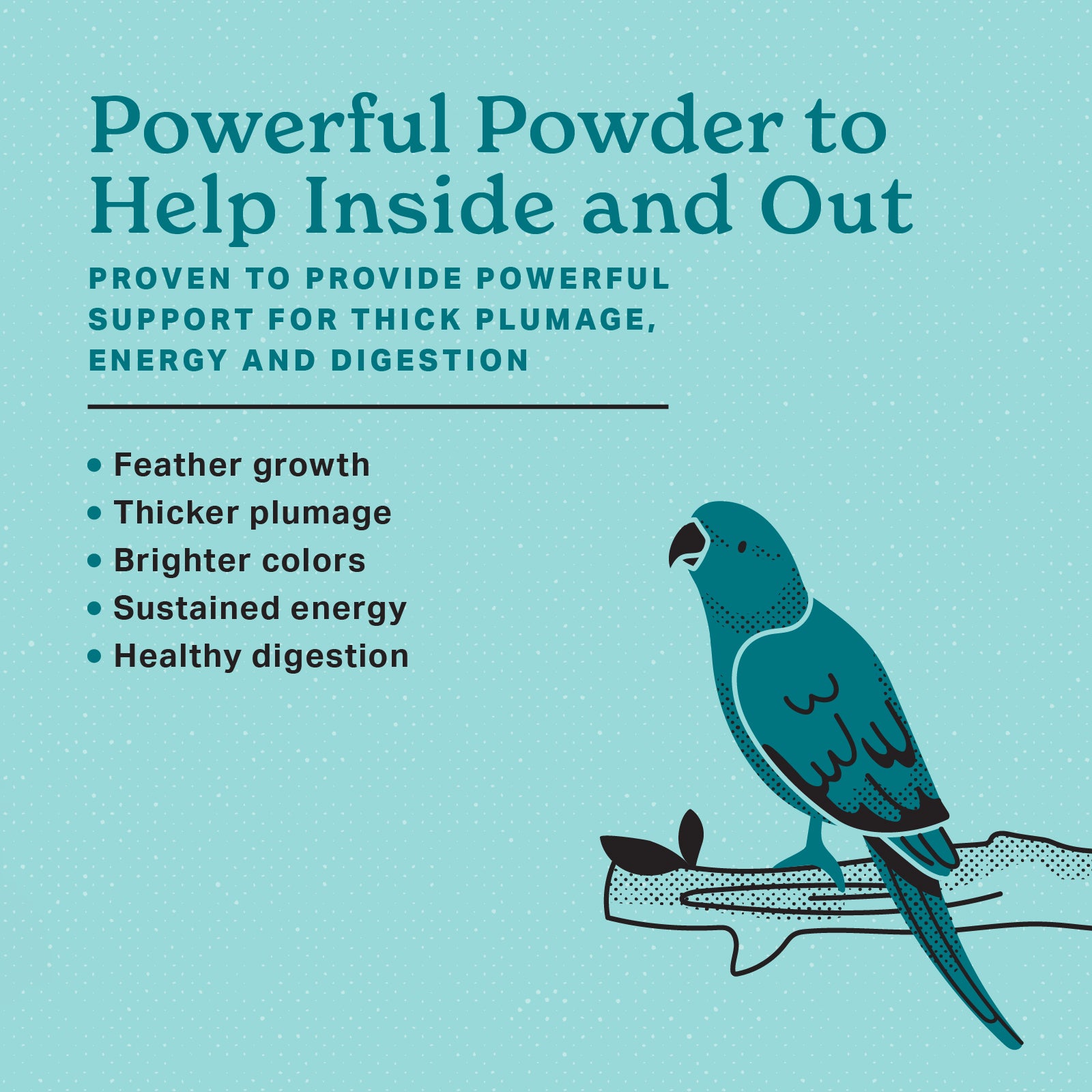Powerful Powder to help inside and out.  Proven to provide powerful support for thick plumage, energy and digestion.