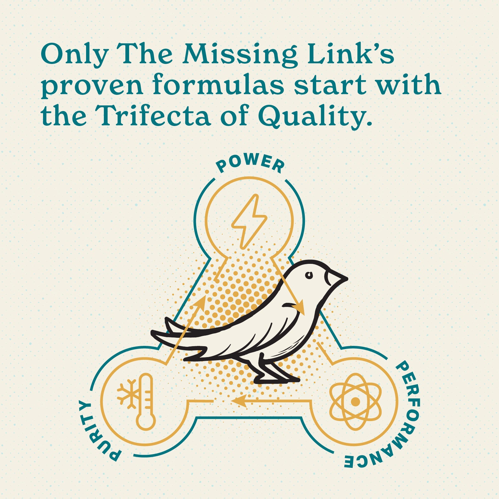 Only The Missing Link's proven formulas start with the trifecta of quality. Power, purity and performance in a healthy supplement powder.