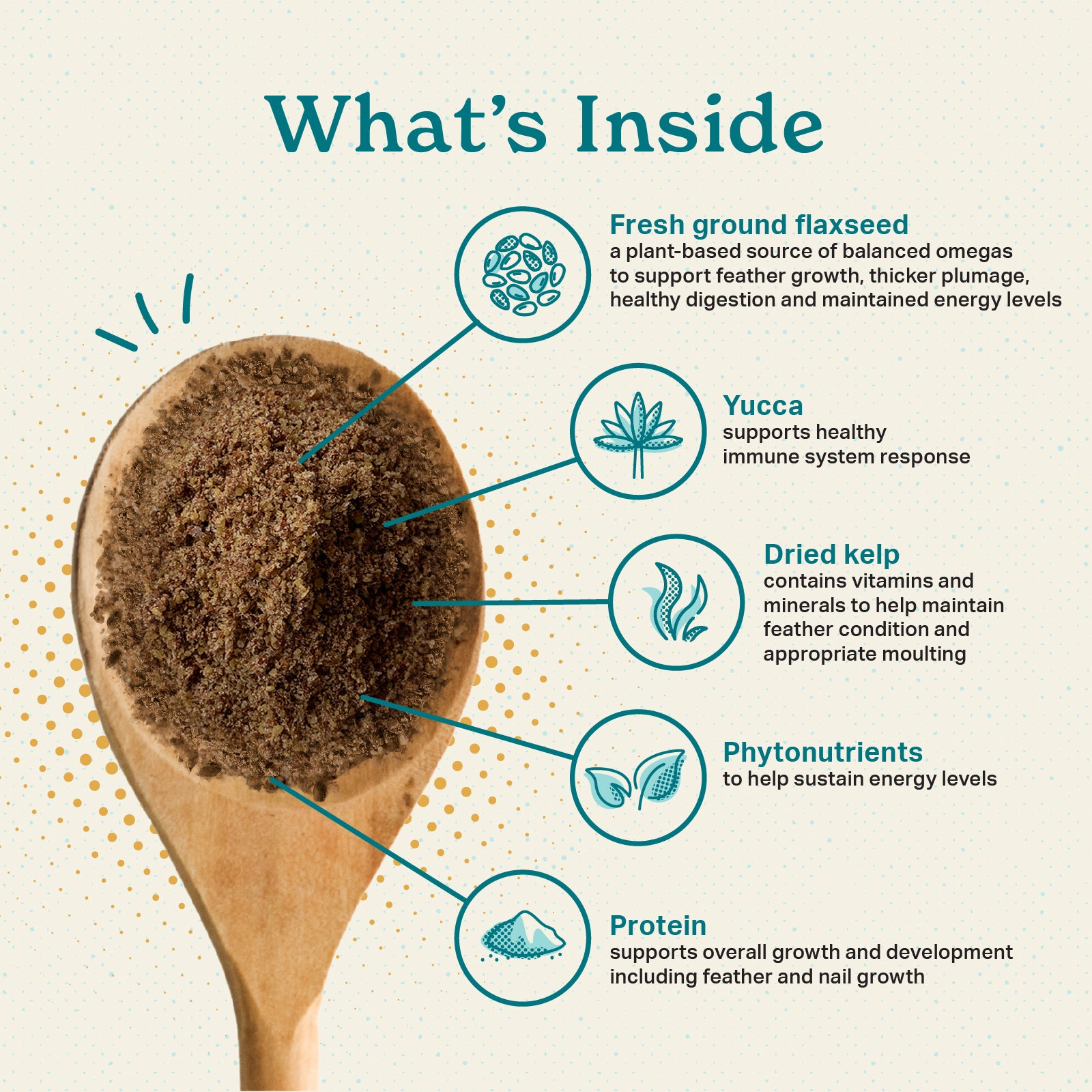 What's Inside, fresh ground flaxseed, yucca, dried kelp, phytonutrients, and protein in our powder supplement.