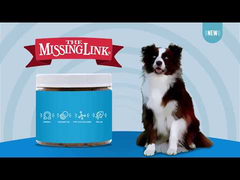 The Missing Link, Omegas, coconut oil, Type 1 &2 collagen and fish oil ingredients.