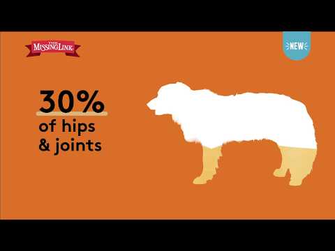 The Missing Link video of hips & joints.